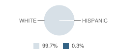 Minster Middle School Student Race Distribution
