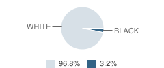 New Miami High School (Junior / Senior) Student Race Distribution