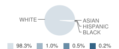 Southern Local High School (Junior / Senior) Student Race Distribution