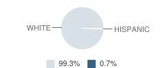 Millersport High School (Junior / Senior) Student Race Distribution