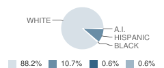 Fayette High School (Junior / Senior) Student Race Distribution