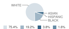 Valley Forge Elementary School Student Race Distribution