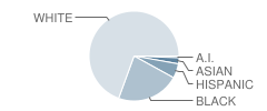Kitty Hawk Elementary School Student Race Distribution