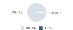 Piketon High School (Junior / Senior) Student Race Distribution