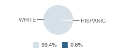 Franklin Township (Twp) Elementary School Student Race Distribution