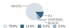 Perkins-Tryon Intermediate Elementary School (Ies) Student Race Distribution