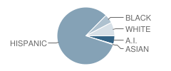 Santa Fe South Es (Charter) School Student Race Distribution