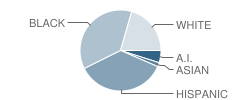Dove Science Academy Es (Okc) Student Race Distribution