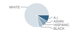 Broken Arrow South Intermediate High School (Ihs) Student Race Distribution