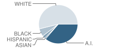 Checotah Intermediate Elementary School (Ies) Student Race Distribution