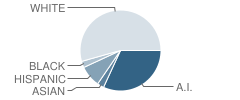 Durant Intermediate Elementary School (Ies) Student Race Distribution