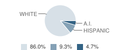 Okeene Jr-Sr High School (Jr) Student Race Distribution