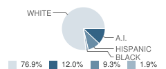 Okeene Jr-Sr High School (Sr) Student Race Distribution