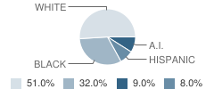 Emerson Alternative Education (Es) School Student Race Distribution