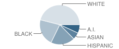 Emerson Alternative Education (Ms) School Student Race Distribution