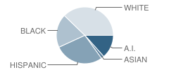 Dove Science Academy (Tulsa) Student Race Distribution