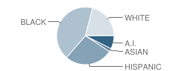 Tulsa Ec Development P. Center (Bunche) School Student Race Distribution