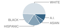 Union Intermediate High School (Ies) Student Race Distribution