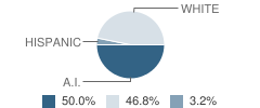 Welch Jr-Sr High School (Jr) Student Race Distribution
