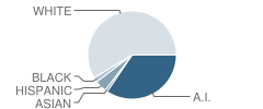 Welch Jr-Sr High School (Sr) Student Race Distribution