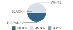 Hermiston Alternative High School Student Race Distribution