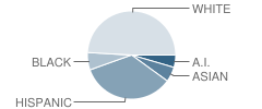 Oregon School for the Deaf Student Race Distribution
