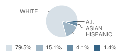 Arlington Elementary School Student Race Distribution