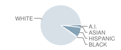 Mountain View High School Student Race Distribution