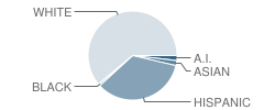 Westside Elementary School Student Race Distribution