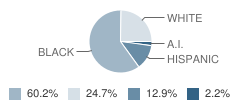Helensview High School Student Race Distribution