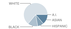 Bensalem Township (Twp) High School Student Race Distribution