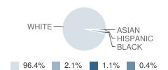 Center Township (Twp) School Student Race Distribution