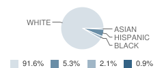 Conewago Township (Twp) Elementary School Student Race Distribution