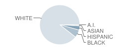 Dover Area Intermediate School Student Race Distribution