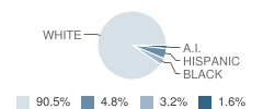 Susquehanna Township (Twp) Elementary School Student Race Distribution