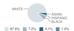 Loyalsock Township (Twp) Middle School Student Race Distribution