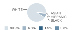 Loyalsock Township (Twp) High School Student Race Distribution