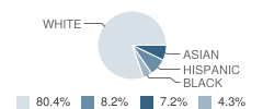 Manheim Township (Twp) High School Student Race Distribution