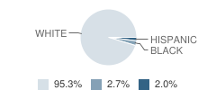 Union Township (Twp) Elementary School Student Race Distribution