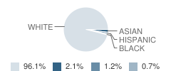Peters Township (Twp) High School Student Race Distribution