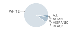 Quaker Valley High School Student Race Distribution
