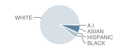 South Fayette Township (Twp) Elementary School Student Race Distribution
