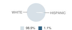 Litchfield Township (Twp) Elementary School Student Race Distribution