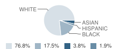 Springfield Township (Twp) Middle School Student Race Distribution