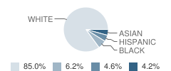Hamilton Township (Twp) Elementary School Student Race Distribution