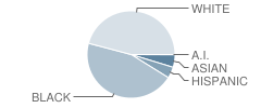 Susquehanna Township (Twp) High School Student Race Distribution