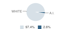 Wells Township (Twp) Elementary School Student Race Distribution