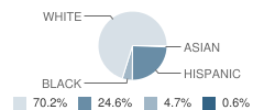 Arendtsville Elementary School Student Race Distribution