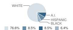 The R.y.s.e. School (Clinical Day & Alternative Learning) Student Race Distribution