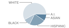 Hugh B. Bain Middle School Student Race Distribution